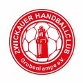 ZHC Grubenlampe – Die Lampe rockt Handball